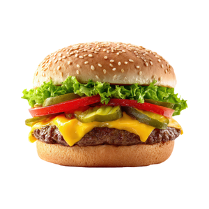 Single Special Burger